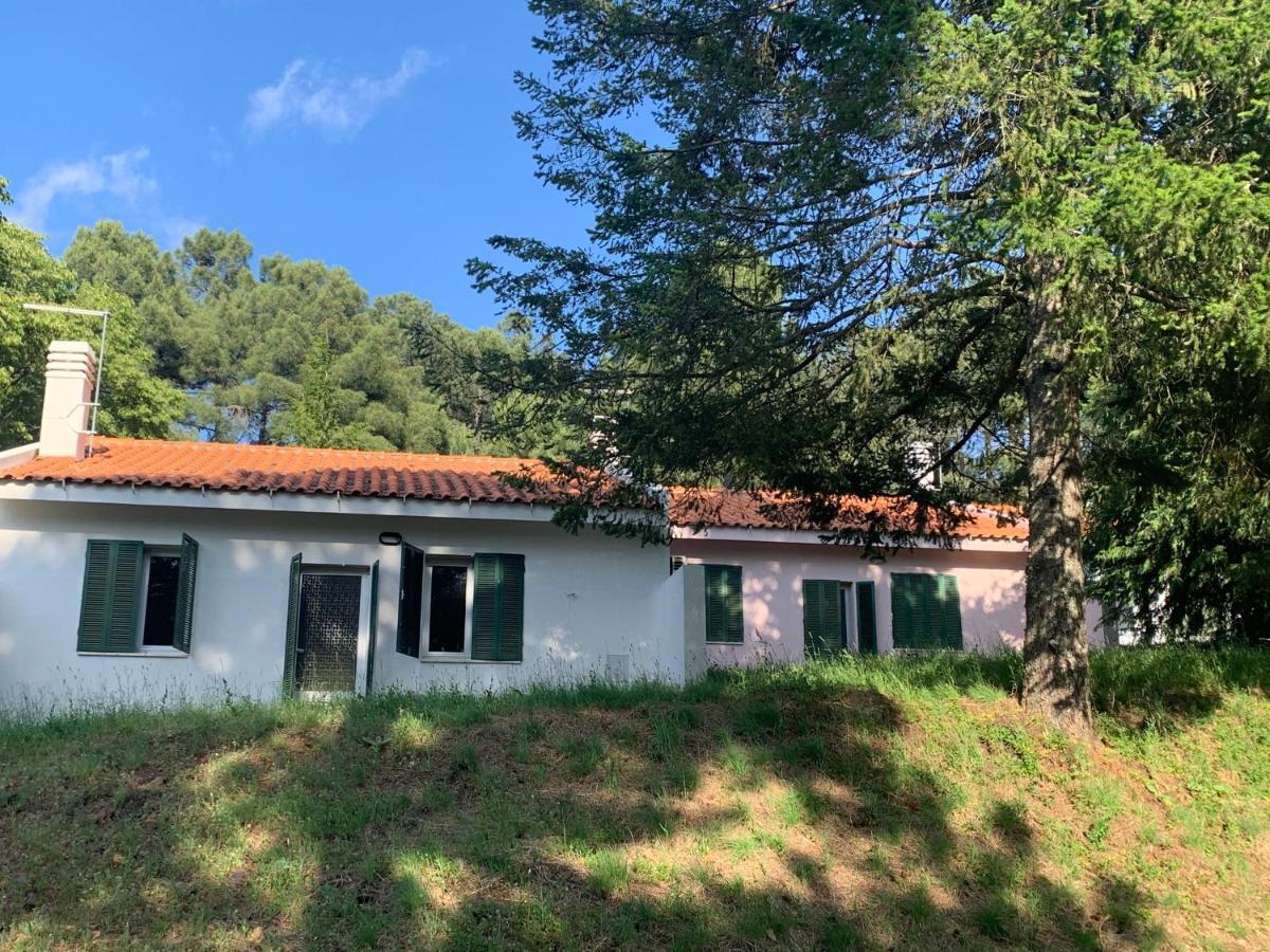 Villa Bel Douro Torre De Moncorvo Exterior foto